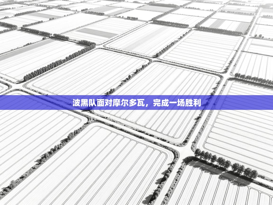 波黑队面对摩尔多瓦，完成一场胜利  第2张