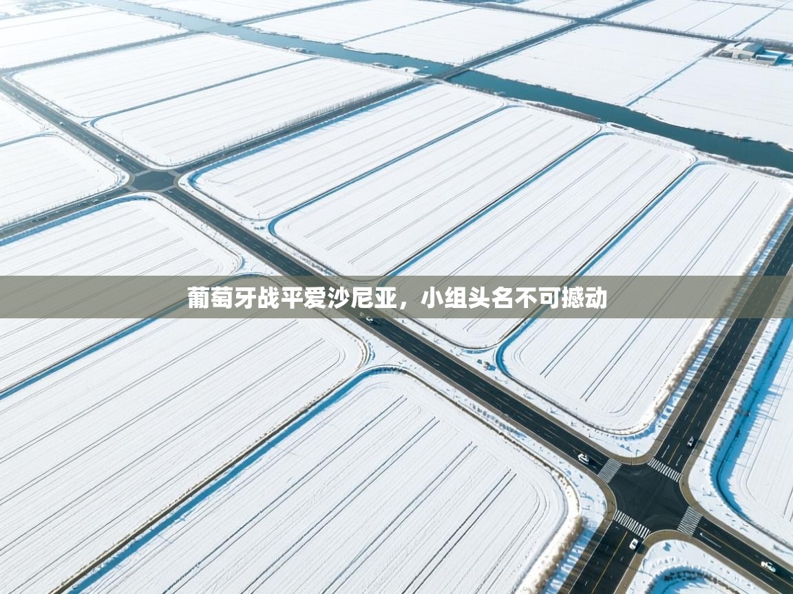 葡萄牙战平爱沙尼亚，小组头名不可撼动  第1张