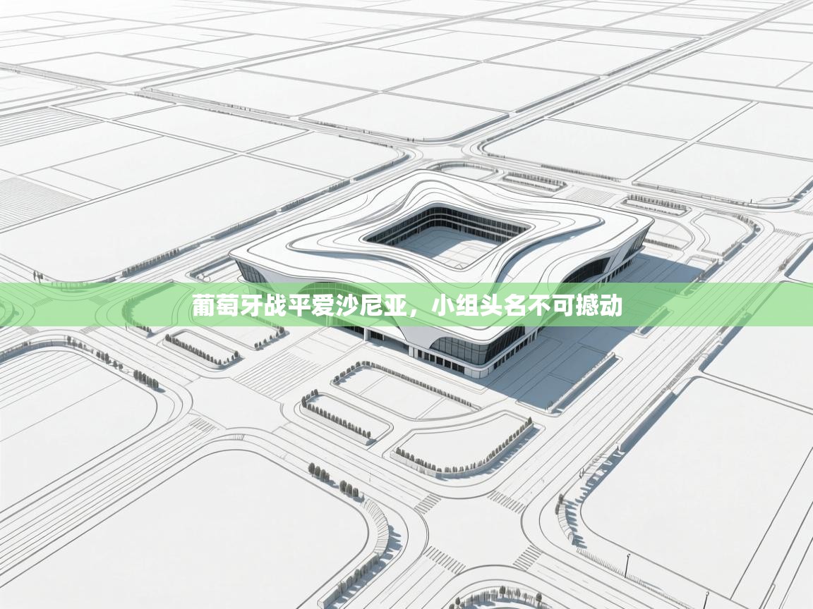 葡萄牙战平爱沙尼亚，小组头名不可撼动  第2张