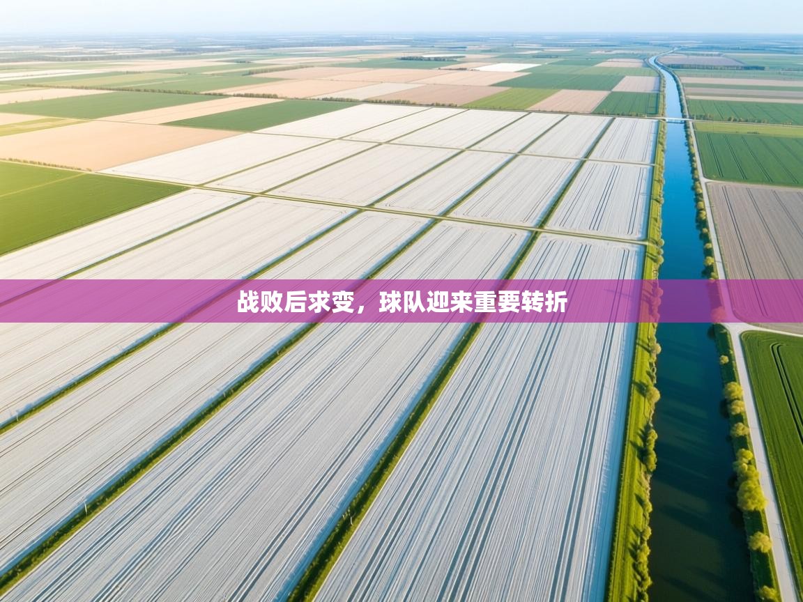 战败后求变，球队迎来重要转折  第2张