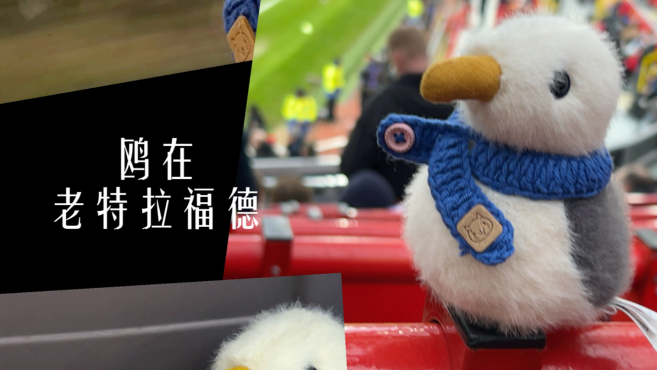布赖顿客场挫败，需尽快调整状态迎接下一场的简单介绍