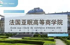 半岛体育app投注-亚眠遭遇重创，连续战败导致积分下滑的简单介绍